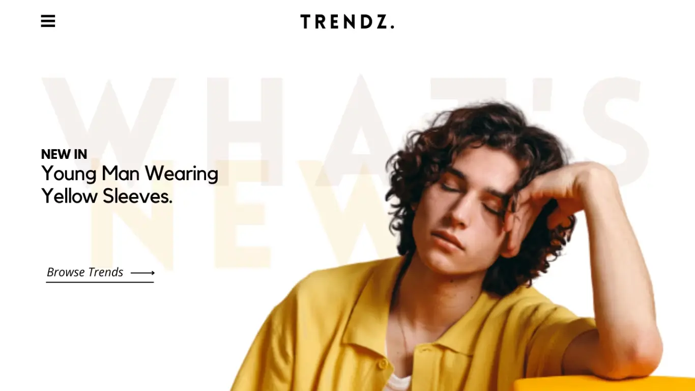 Trendz - Published Fashion Outlet Website